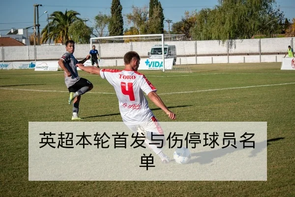 亚冠小组赛积分榜与出线概率实时计算器